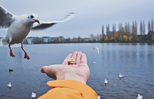 佰利乐·(中国区)有限公司官网