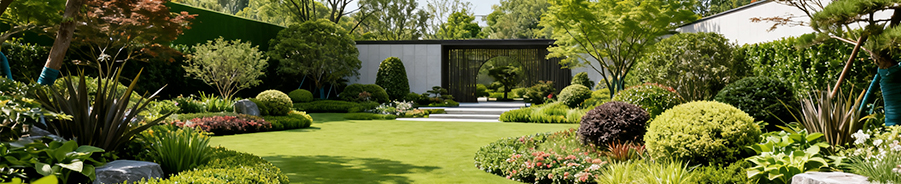 佰利乐·(中国区)有限公司官网